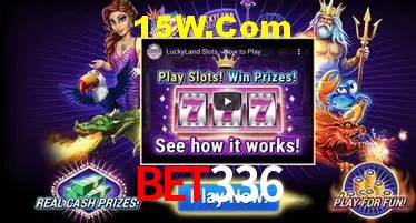 Bonus Features bet336